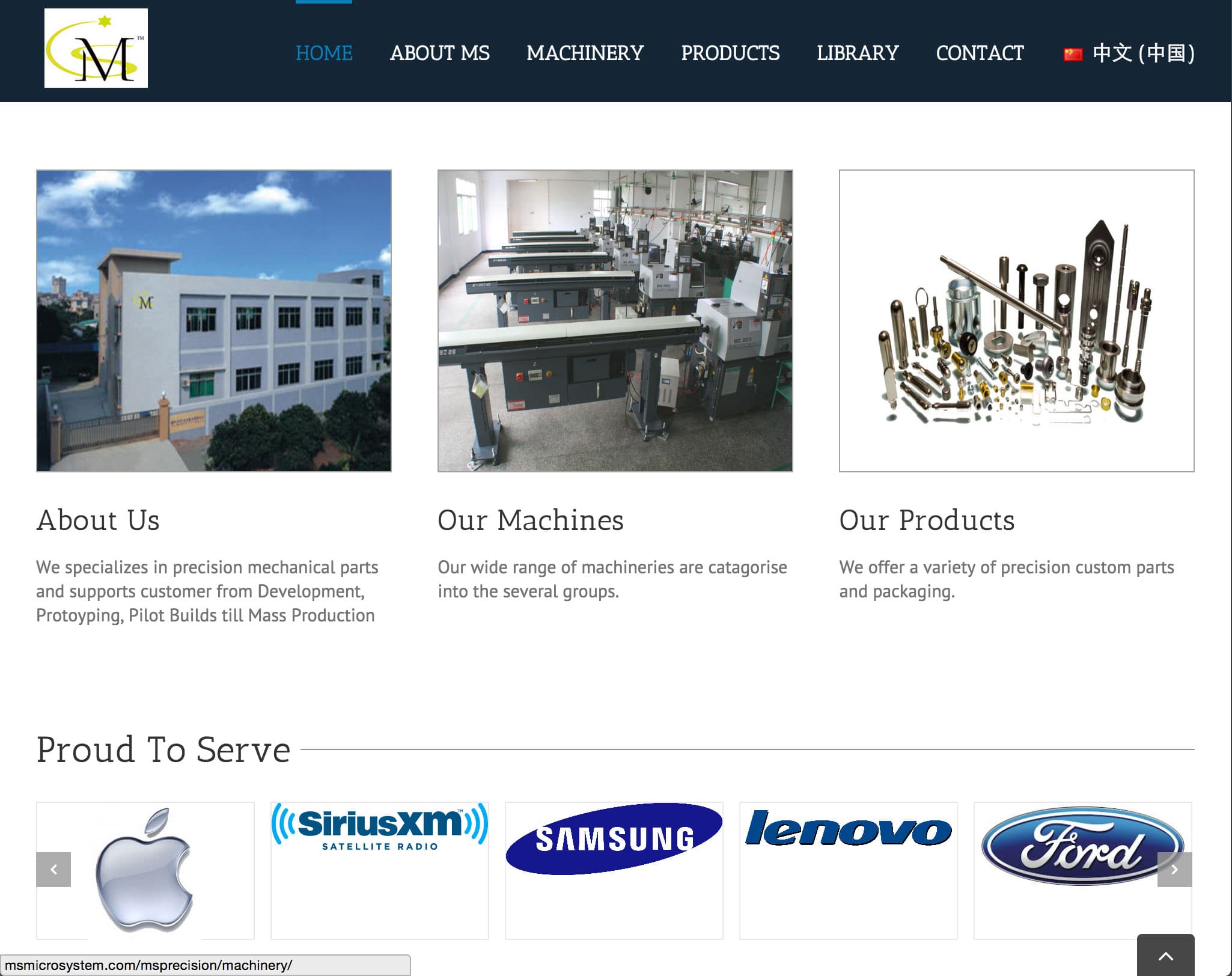 MS Precision project preview
